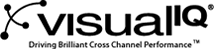 Visual IQ
